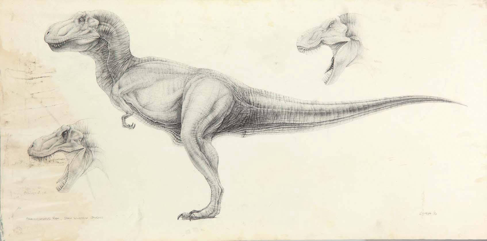 1694x840 Mark Mccreery T Rex Concept Artwork From Jurassic Park - Jurassic Park T Rex Drawing