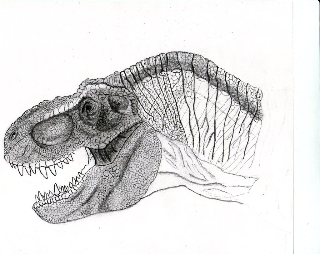 Jurassic Park T Rex Drawing at PaintingValley.com | Explore collection ...