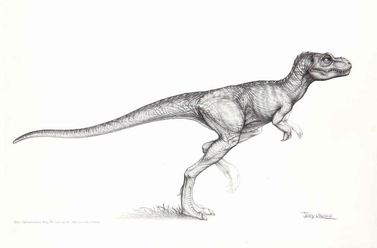 1276x840 the lost world jurassic park baby trex drawing - Jurassic Park T Rex Drawing