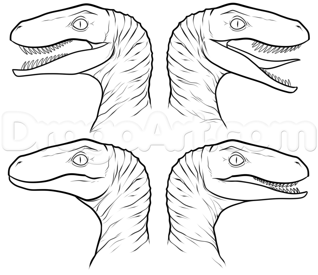 1058x915 How To Draw The Raptor Squad From Jurassic World, Step - Jurassic World Drawing