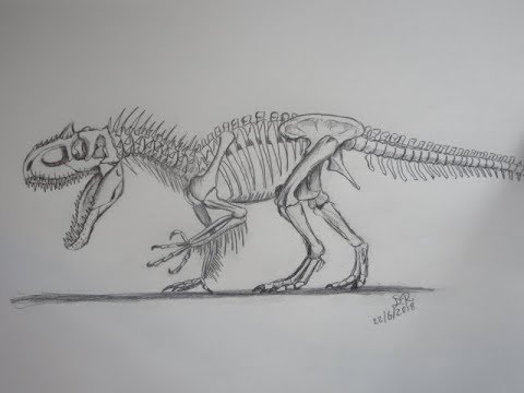 480x360 how to draw the indominus rex skeleton - Jurassic World Indominus Rex Drawing
