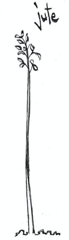 228x786 organic fabric fabrics - Jute Drawing