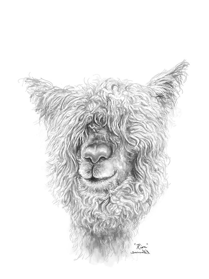 675x900 Rion Drawing - K Drawing