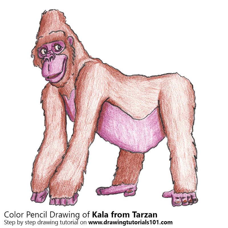 800x800 Kala From Tarzan Colored Pencils - Kala Drawing