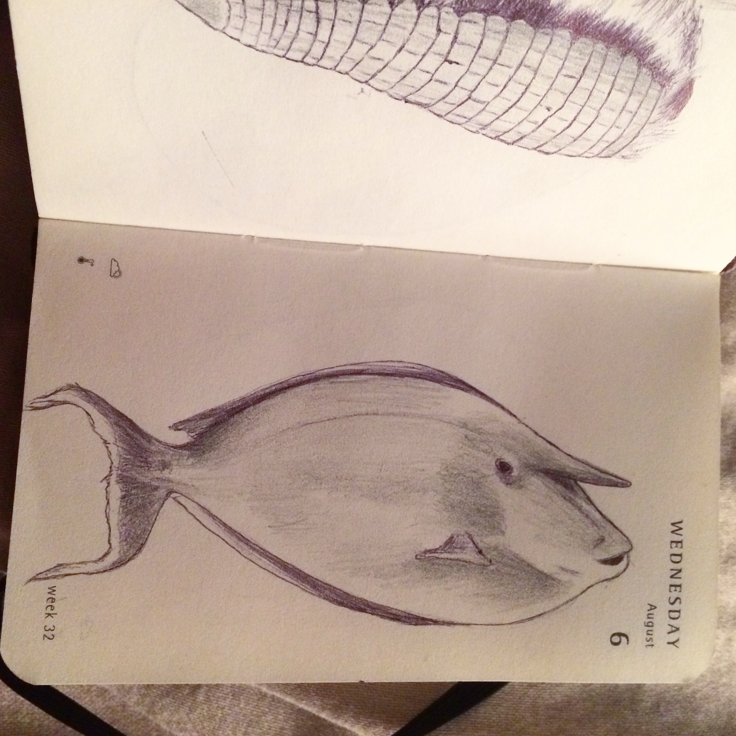 2484x2484 mnaitodesigns keeping it as real as possible, one drawing - Kala Drawing