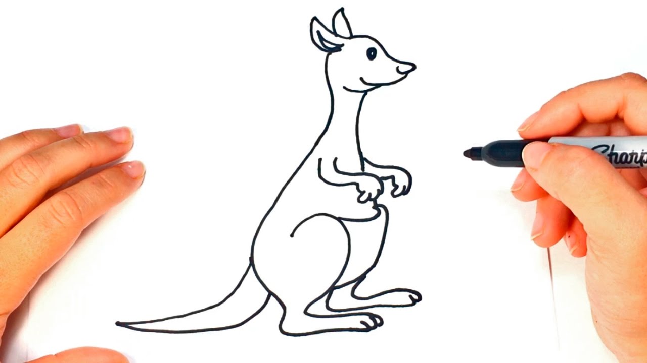 1280x720 how to draw a kangaroo kangaroo easy draw tutorial - Kangaroo Cartoon Drawing