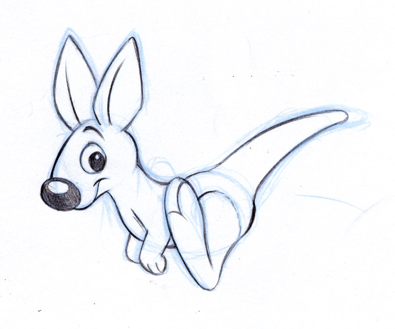 800x667 Kangaroo Cartoon Drawing - Kangaroo Cartoon Drawing
