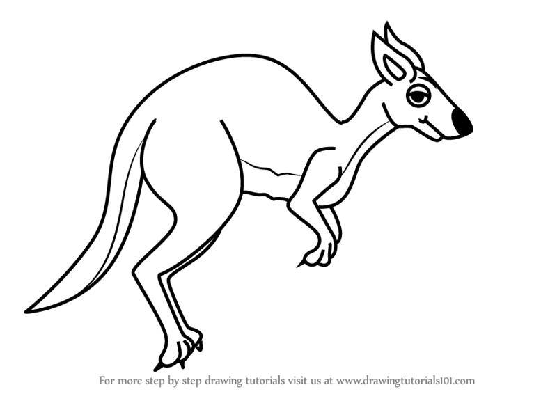 800x566 Learn How To Draw A Cartoon Kangaroo - Kangaroo Cartoon Drawing