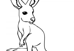 300x210 easy kangaroo drawing how to draw a cartoon kangaroo - Kangaroo Cartoon Drawing