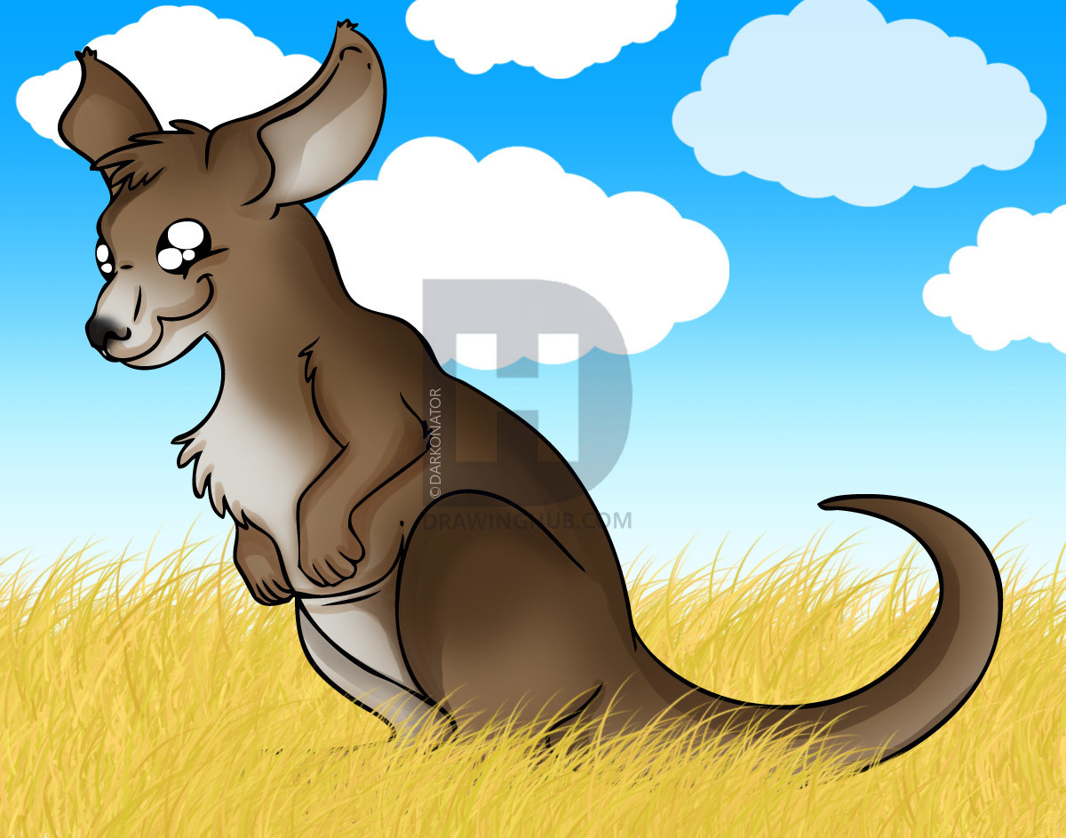 1200x943 How To Draw A Cartoon Kangaroo, Step - Kangaroo Cartoon Drawing