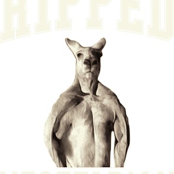 360x360 ripped vegetarian with buff kangaroo drawing for gym and exercise - Kangaroo Drawing