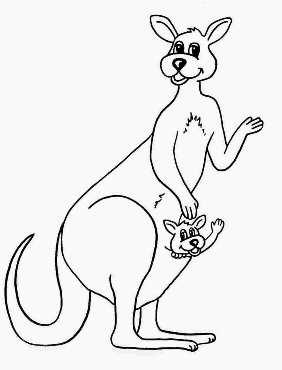 963x1264 Simple Kangaroo Drawing Archives Gdpictureusrhgdpictureus How - Kangaroo Drawing