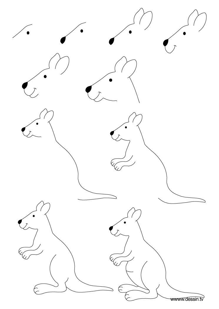 744x1052 Drawing Kangaroo - Kangaroo Drawing