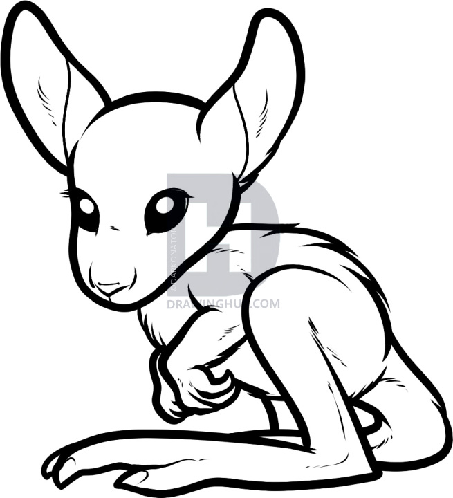 655x720 How To Draw A Baby Kangaroo, Baby Kangaroo, Step - Kangaroo Drawing Easy