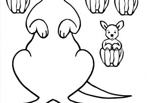 300x210 How To Draw A Kangaroo Easy For Kids - Kangaroo Drawing Easy