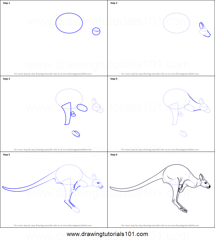751x846 How To Draw A Kangaroo Printable Step - Kangaroo Drawing Easy