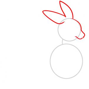 302x302 How To Draw How To Draw A Kangaroo For Kids - Kangaroo Drawing Easy