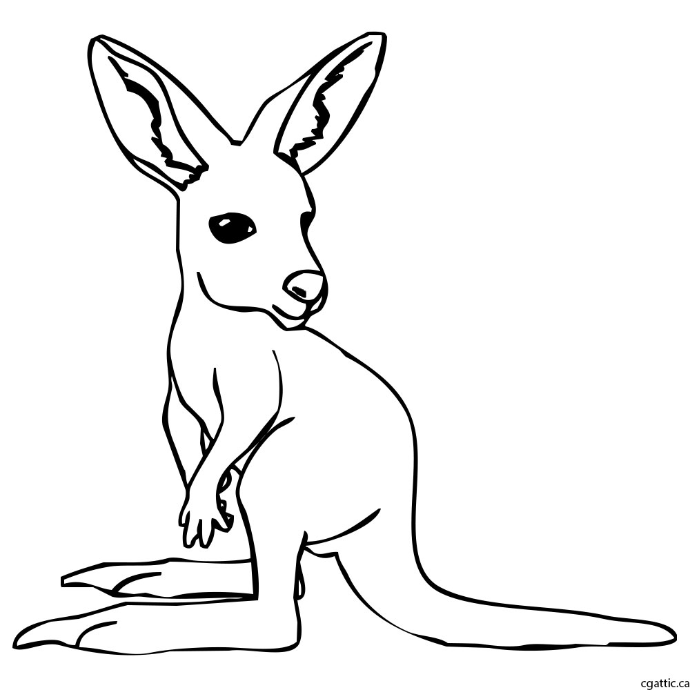 1000x1000 Kangaroo Cartoon Drawing In Steps With Photoshop - Kangaroo Drawing Easy