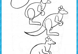 300x210 Kangaroo Drawing Easy Kangaroo Drawing How To Draw A Kangaroo - Kangaroo Drawing Easy
