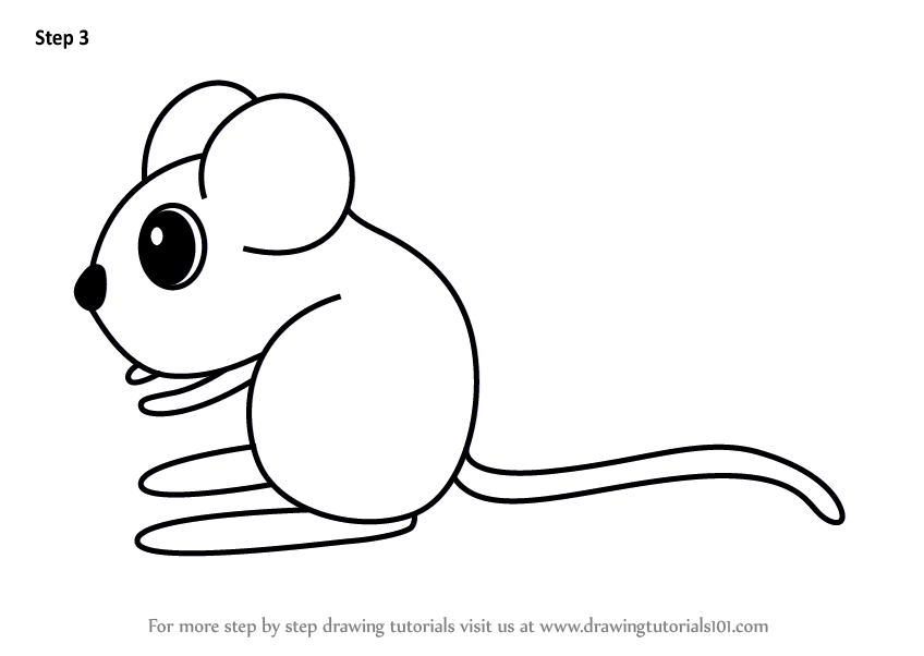 848x602 Learn How To Draw A Kangaroo Rat For Kids - Kangaroo Drawing Easy