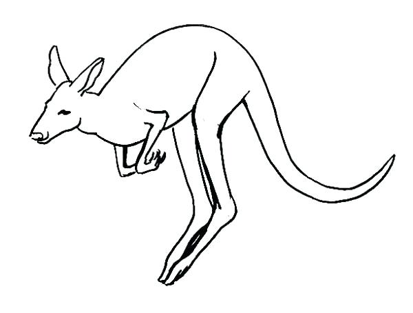 600x454 Coloring Pages For Adults Easy Disney Kids Summer Kangaroo Drawing - Kangaroo Drawing Easy