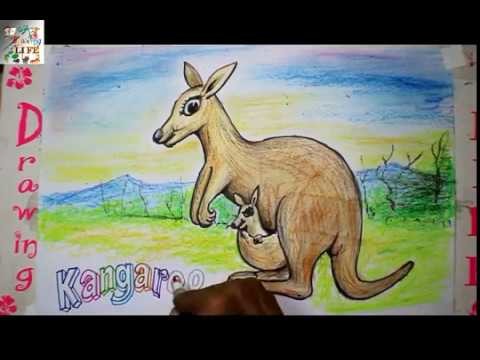 480x360 How To Draw Kangaroo With Baby Step - Kangaroo Drawing For Kids