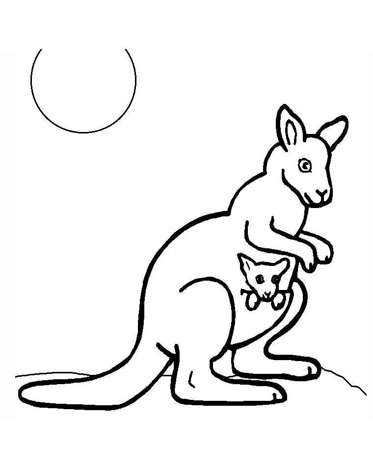 760x960 Kangaroos To Print - Kangaroo Drawing For Kids