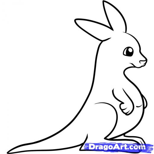 520x520 Step How To Draw A Kangaroo For Kids - Kangaroo Drawing For Kids