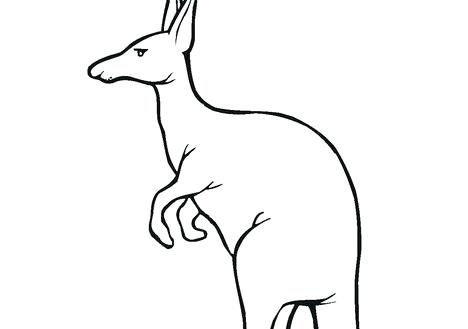 468x329 Coloring Pages For Adults Easy Disney Kids Summer Kangaroo Drawing - Kangaroo Drawing For Kids