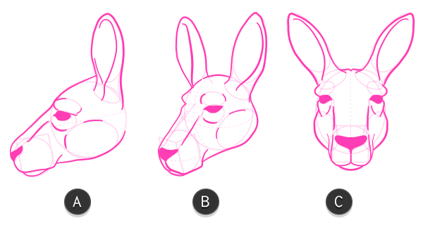 600x334 How To Draw Animals Kangaroos And Koalas - Kangaroo Outline Drawing