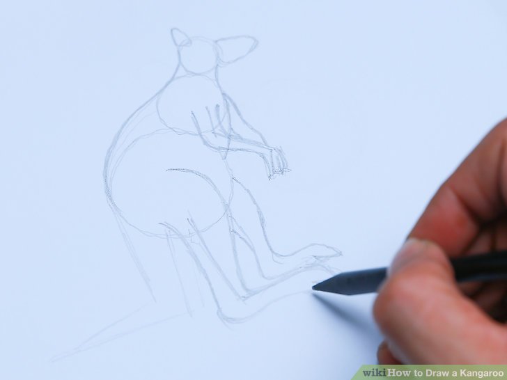 728x546 Ways To Draw A Kangaroo - Kangaroo Outline Drawing