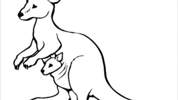 585x329 amazing chic outline picture of kangaroo drawing at getdrawings - Kangaroo Outline Drawing