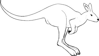 418x237 Australian Animals Simple Kangaroos Simple Templates - Kangaroo Outline Drawing