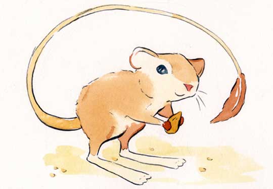 540x374 Eloise Narrigan Gallery - Kangaroo Rat Drawing