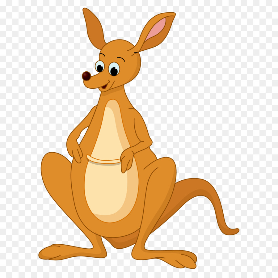 900x900 Joey Cartoon Drawing Kangaroo Drawing Cartoon Clip Art - Kangaroo Sketch Drawing