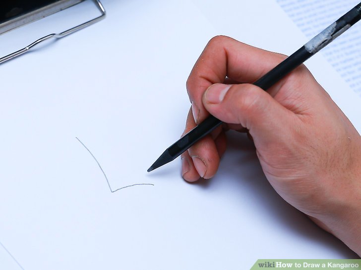 728x546 Ways To Draw A Kangaroo - Kangaroo Sketch Drawing