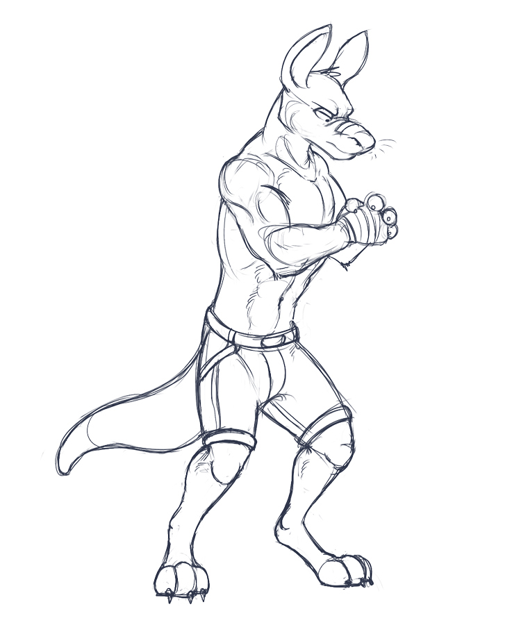 750x900 Kangaroo Sketch Drawing - Kangaroo Sketch Drawing