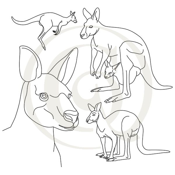 600x600 kangaroo sketch svgdxf kangaroos drawing craft genesis - Kangaroo Sketch Drawing