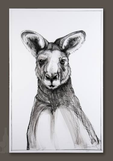 375x535 Portrait Of Kangaroo Drawing - Kangaroo Sketch Drawing