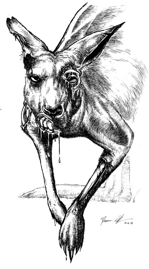 500x902 Waterborne' - Kangaroo Sketch Drawing