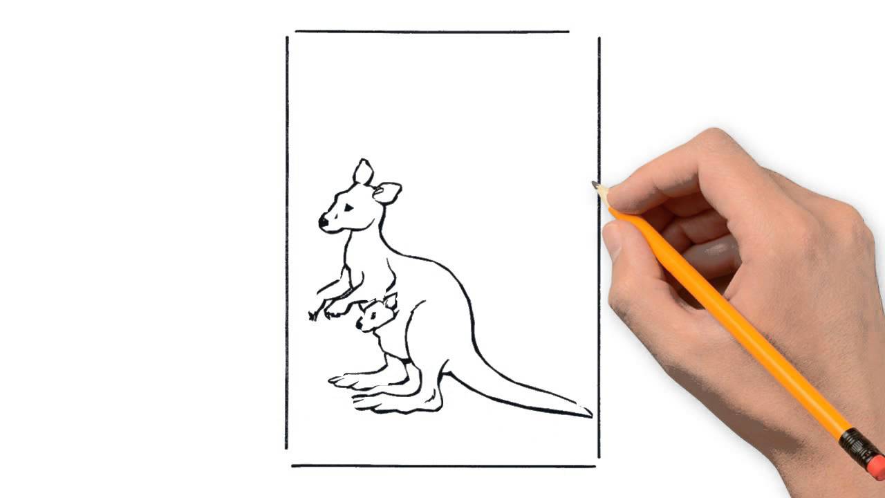 1280x720 Kangaroo Animals Pencil To Draw Step - Kangaroo Sketch Drawing