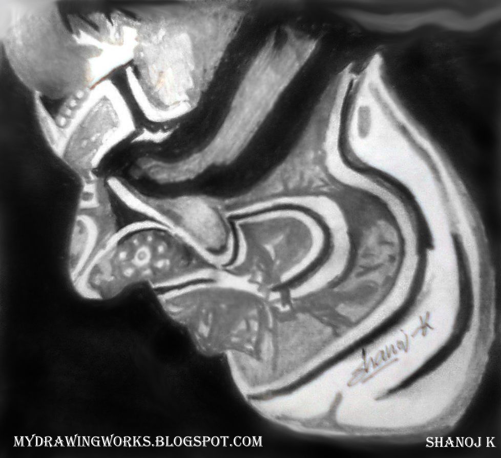 978x893 Kathakali - Kathakali Drawing