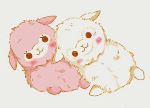 500x359 kawaii alpacas wiki kawaii amino amino - Kawaii Alpaca Drawing
