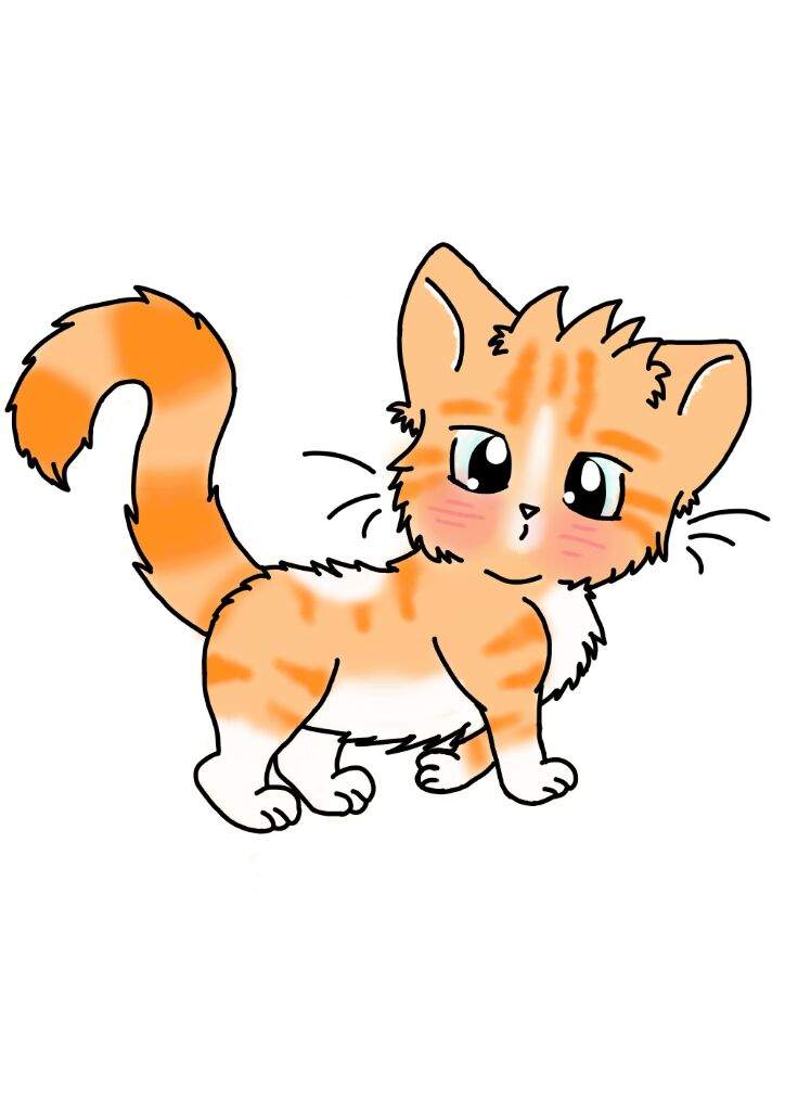 724x1024 kawaii cat drawing kawaii amino amino - Kawaii Kitty Drawing