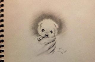 320x207 I've Been Getting Frustrated With My Drawings Lately So I Decided - Kawaii Puppy Drawing