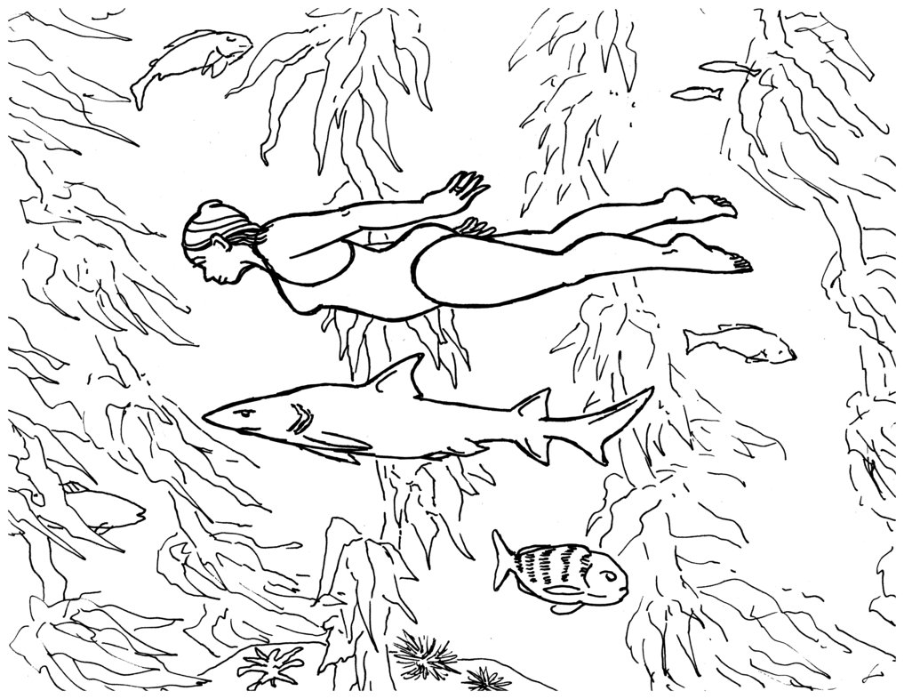 1017x786 Kelp Forest - Kelp Forest Drawing