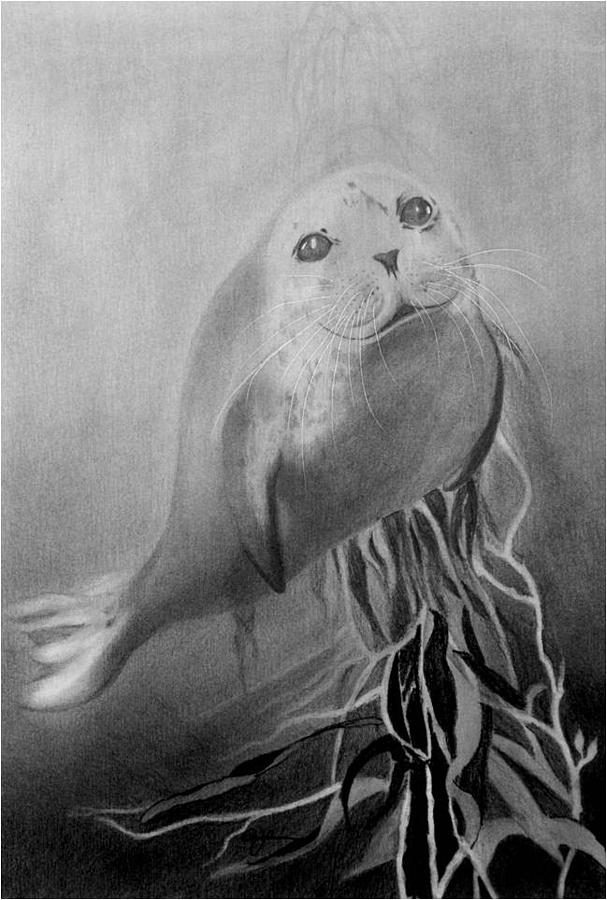 607x900 Within The Kelp Forest Drawing - Kelp Forest Drawing