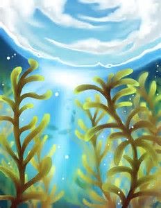 232x300 kelp forest stained glass forest - Kelp Forest Drawing