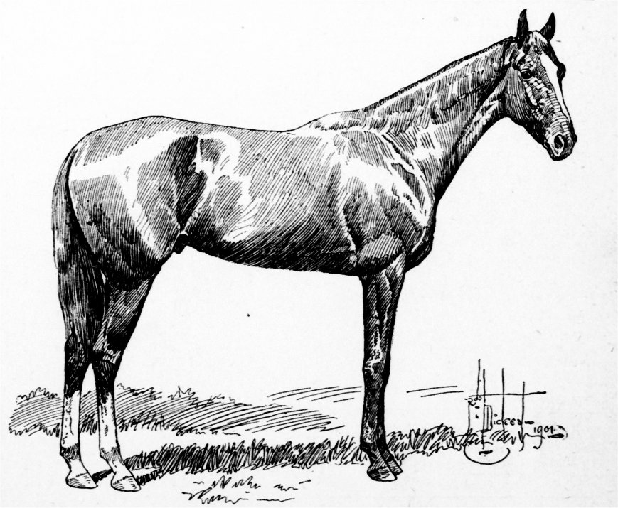 Kentucky Derby Drawing at Explore collection of