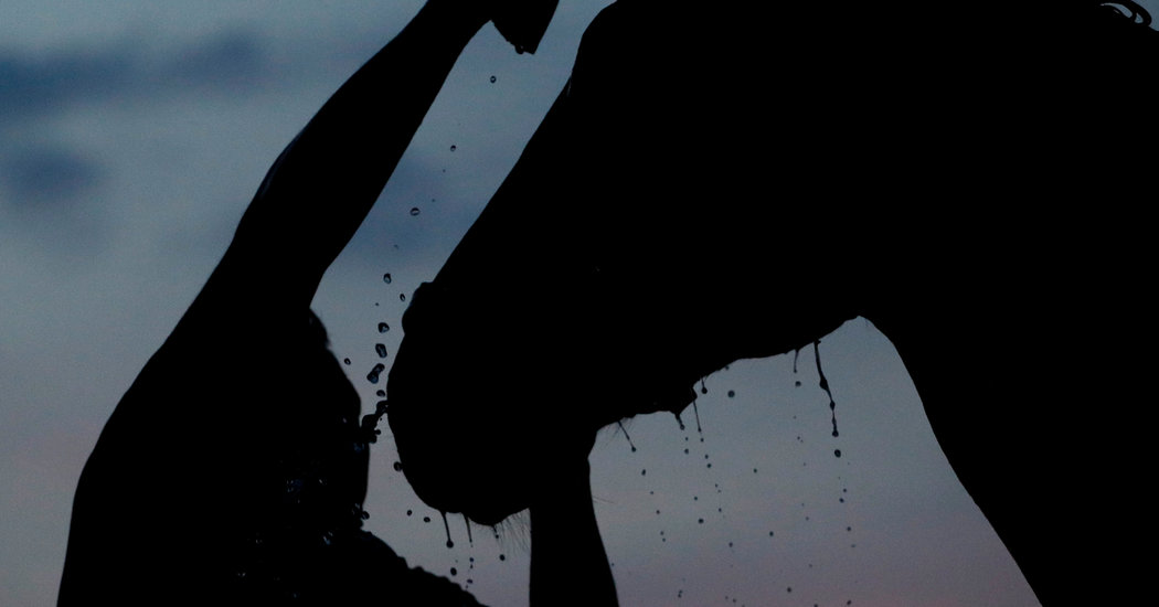 1050x550 who we think will win the kentucky derby - Kentucky Derby Drawing